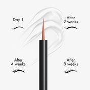 Lash & Brow Growth Kit